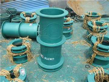 <a href=http://www.www.ambizomart.com target=_blank class=infotextkey>防水套管</a>
